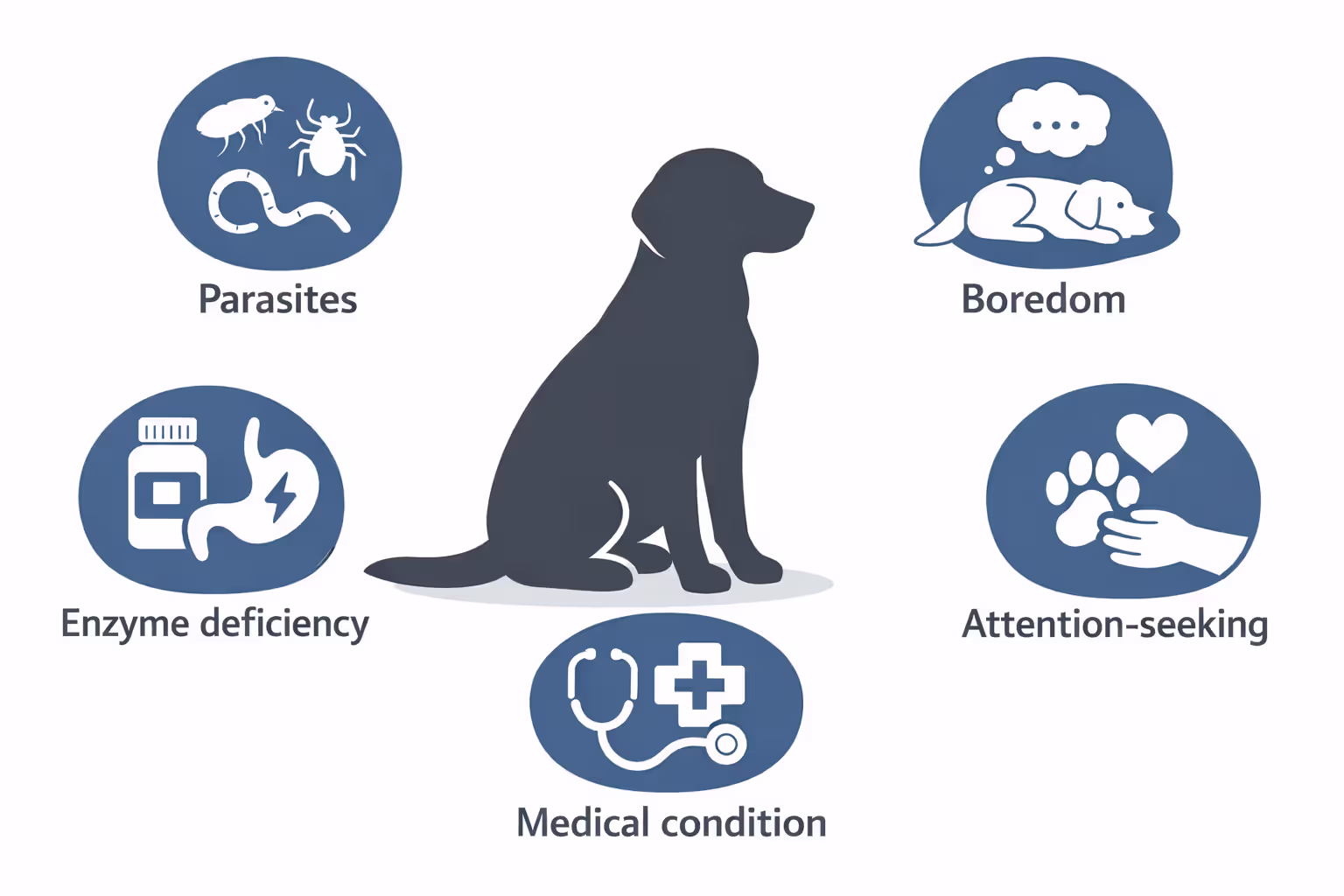 Diagram showing main causes of coprophagia in dogs