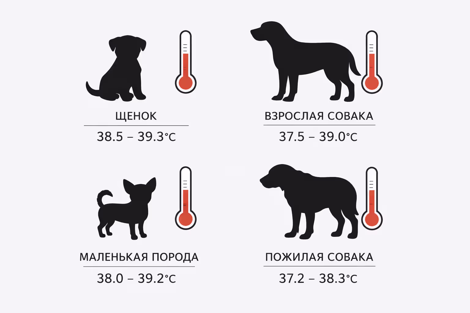 Infographic showing normal body temperature ranges for dogs by age and size