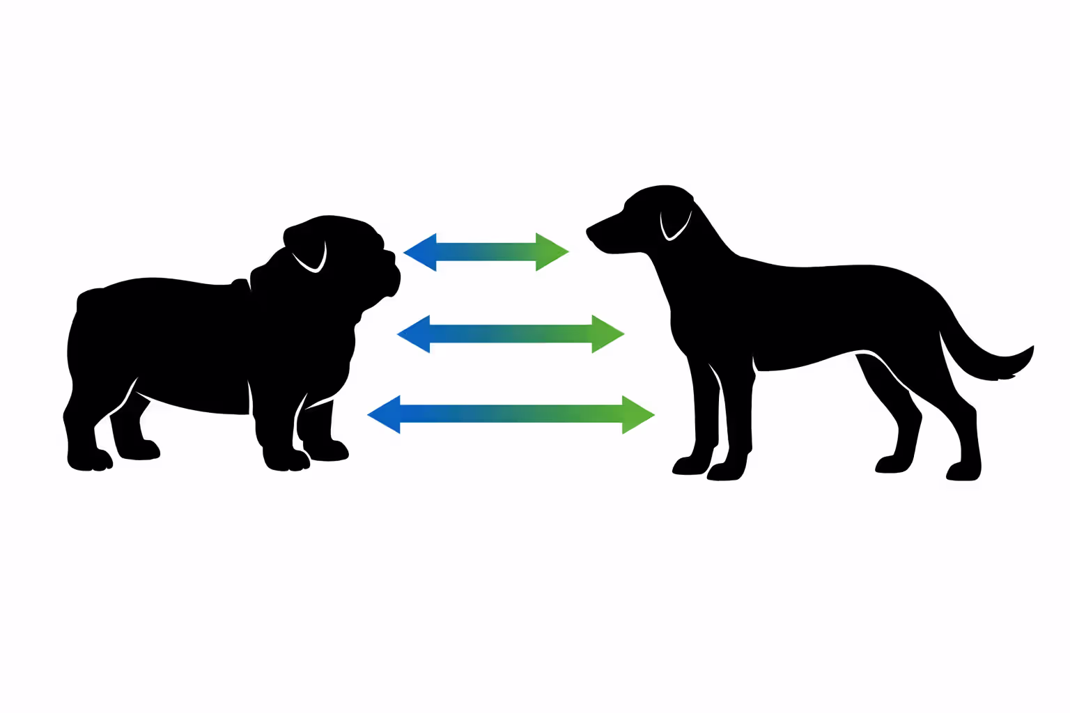 Infographic comparing brachycephalic dog silhouette with flat face and short legs versus proportionally built dog with moderate muzzle and balanced body structure