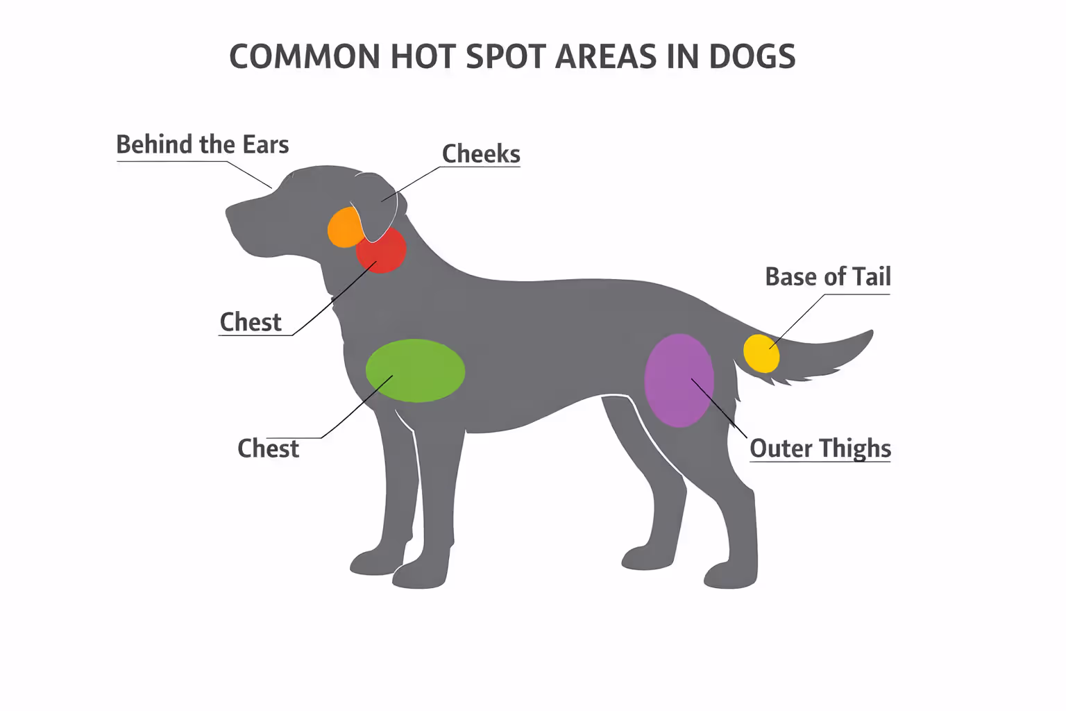 Diagram of a dog showing the five most common hot spot locations: behind ears, cheeks, tail base, outer thighs, and chest