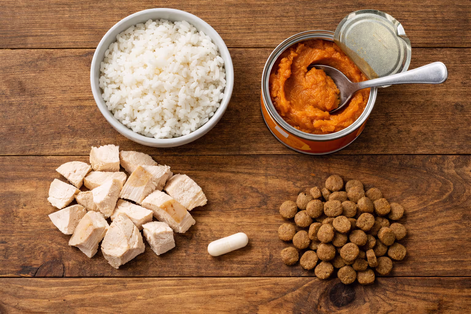Flat lay of dog-friendly bland diet ingredients including boiled chicken, white rice, canned pumpkin, and probiotics