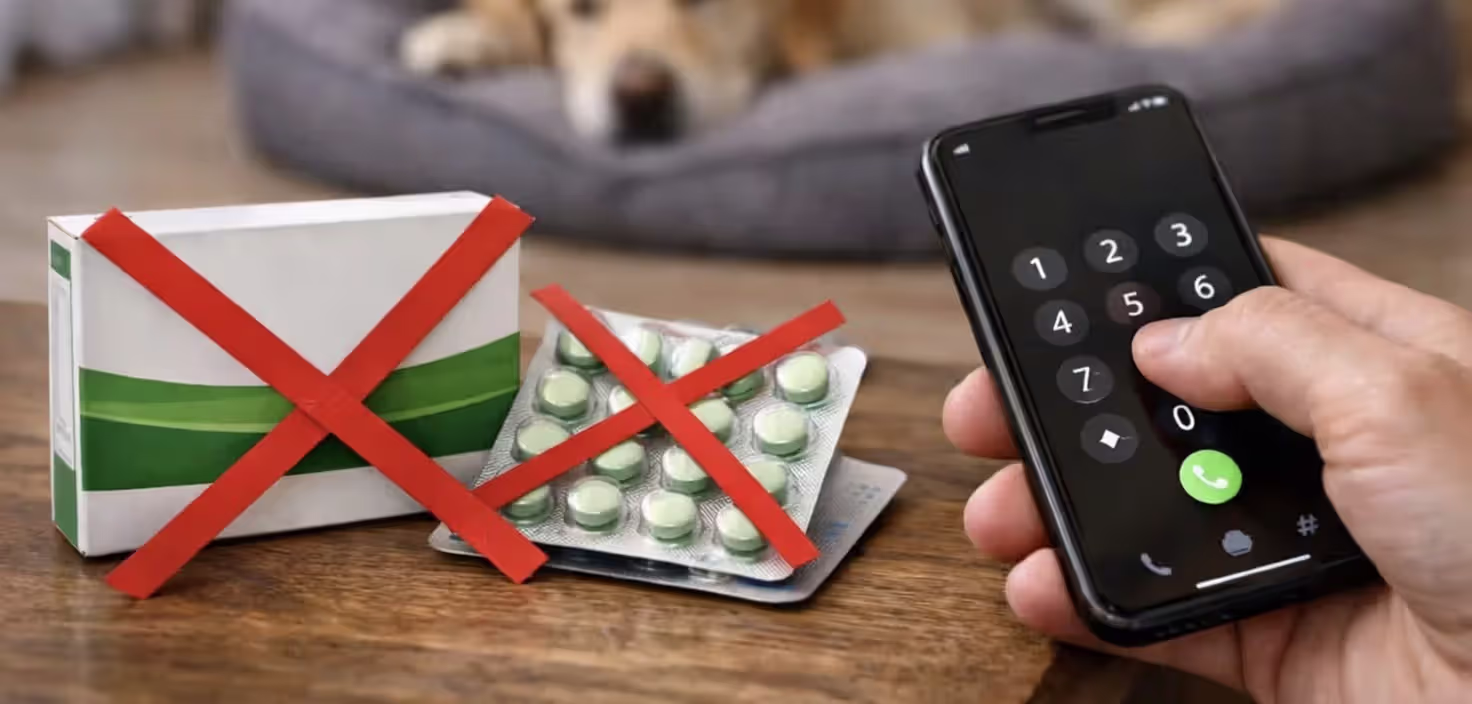 Human laxative packages crossed out with owner calling a veterinarian for a constipated dog